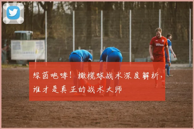 绿茵咆哮！橄榄球战术深度解析，谁才是真正的战术大师