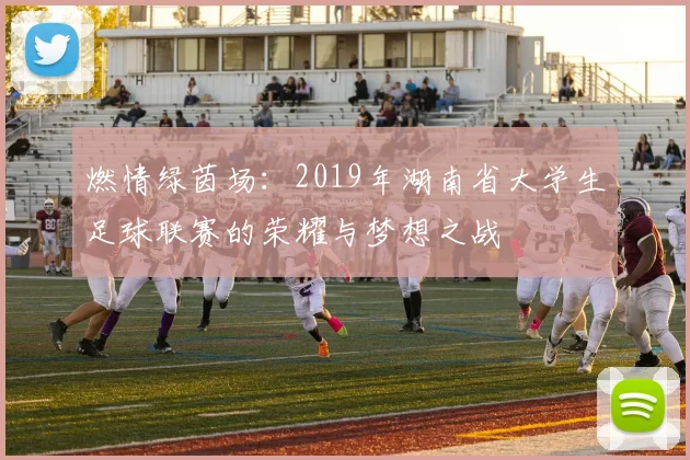 燃情绿茵场：2019年湖南省大学生足球联赛的荣耀与梦想之战