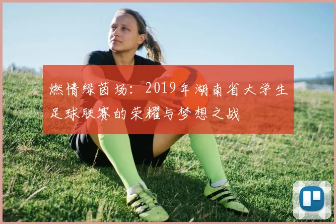 燃情绿茵场：2019年湖南省大学生足球联赛的荣耀与梦想之战
